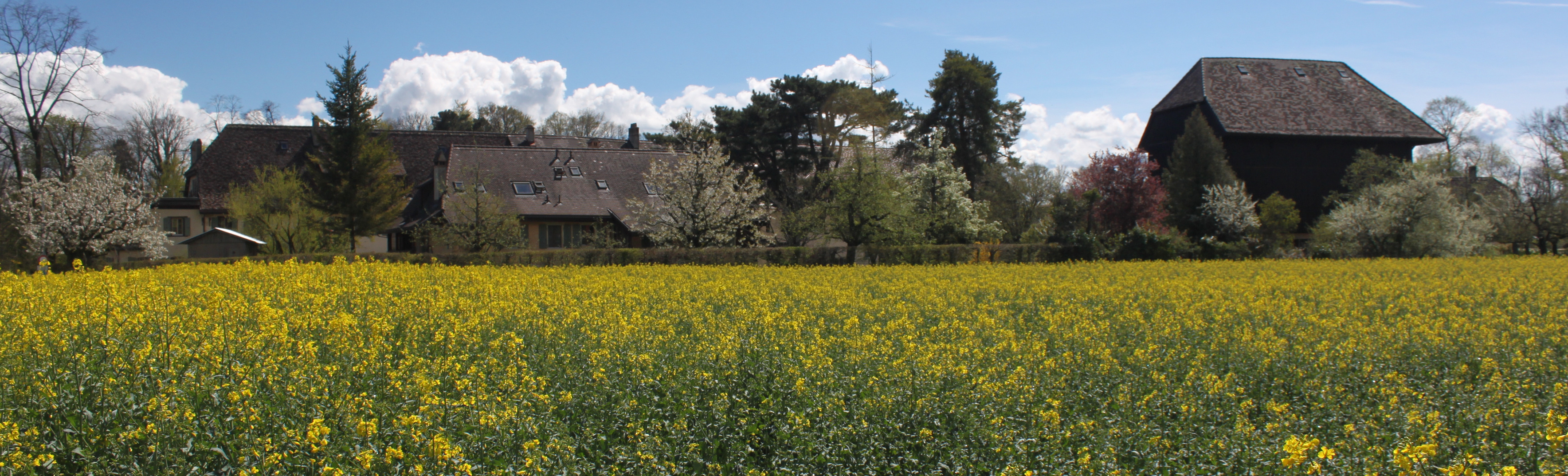 Willkommen Communauté de Grandchamp